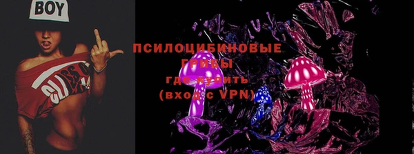 прущая мука Кулебаки