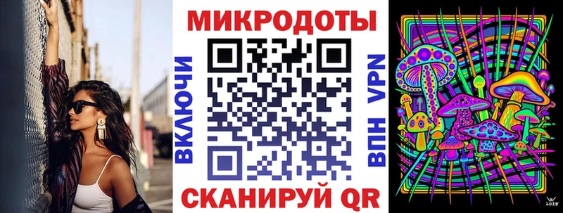 Галлюциногенные грибы Psilocybe  Долгопрудный 